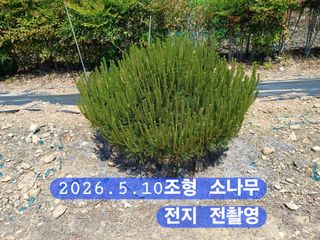 박성민님의 자유주제 · 자유게시판 작성글 사진