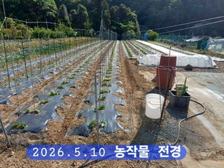 박성민님의 자유주제 · 자유게시판 작성글 사진