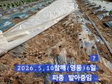 박성민님의 자유주제·자유게시판 작성글 사진