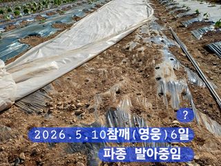 박성민님의 자유주제 · 자유게시판 작성글 사진