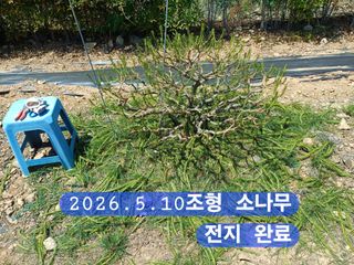 박성민님의 자유주제 · 자유게시판 작성글 사진