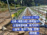 팜모닝 자유주제·자유게시판 게시글 이미지