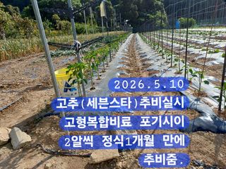 박성민님의 자유주제 · 자유게시판 작성글 사진