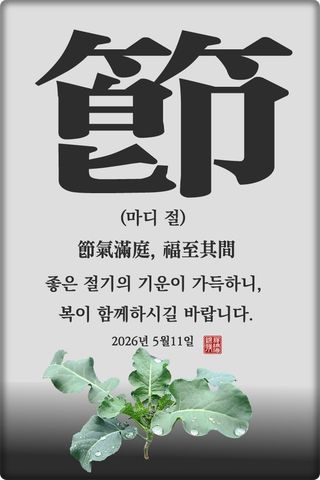 정진해님의 자유주제·자유게시판 작성글 사진