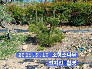 박성민님의 자유주제 · 자유게시판 작성글 사진