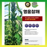 팜모닝 · 게시글 이미지