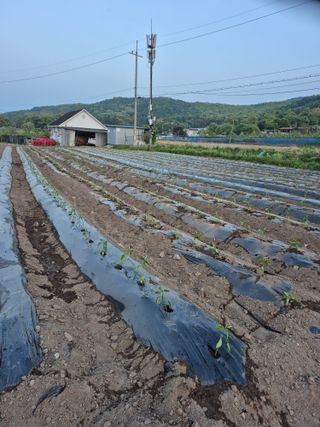 이정민님의 자유주제 · 사진전 작성글 사진