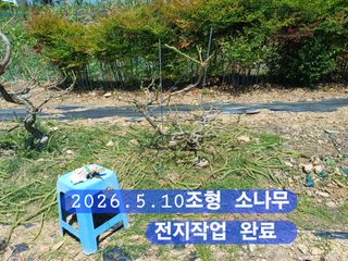 박성민님의 자유주제 · 자유게시판 작성글 사진