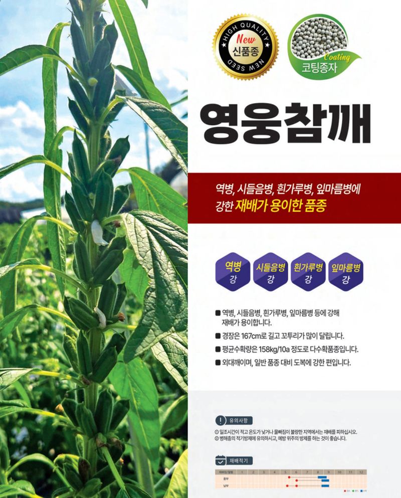 씨앗드림님의 장터 판매 상품 [영웅참깨 코팅 3000립 외대깨 펠렛] 첨부 사진