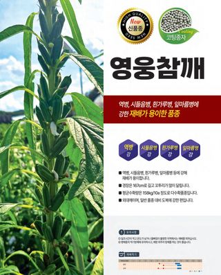 씨앗드림님의 작성글 사진