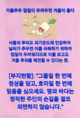 Kns4324님의 자유주제·자유게시판 작성글 사진