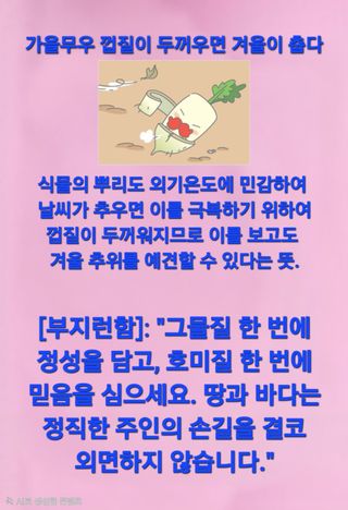 Kns4324님의 자유주제 · 자유게시판 작성글 사진