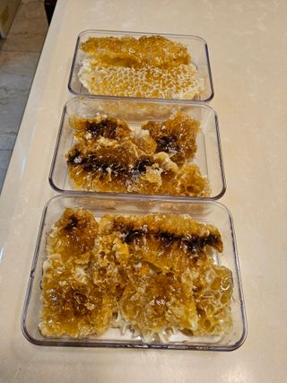 발해인님의 자유주제 · 자유게시판 작성글 사진