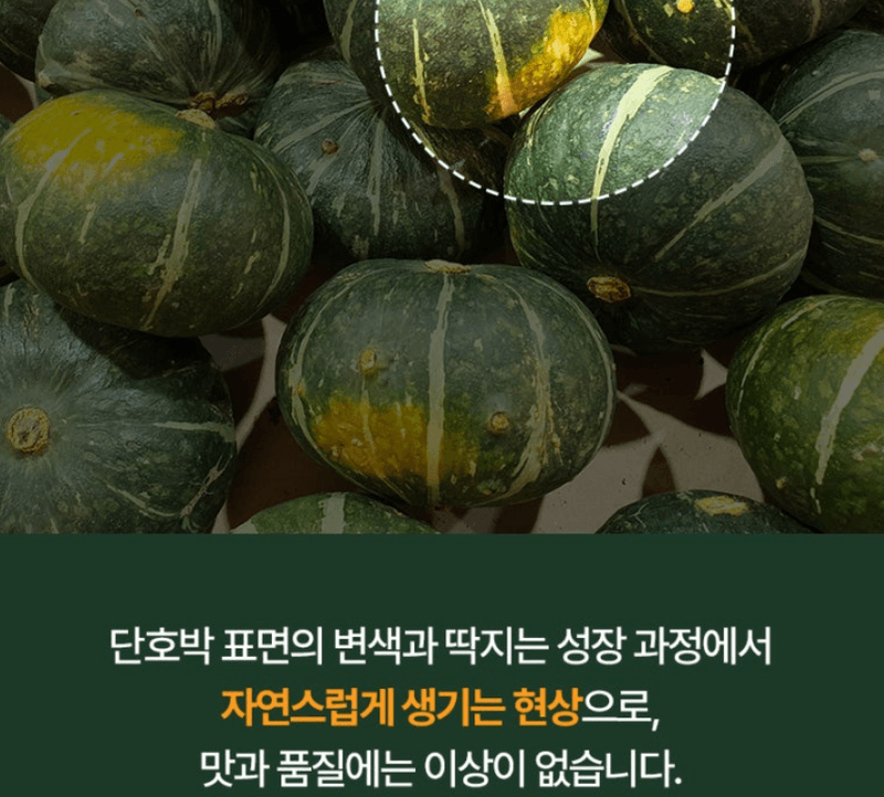 메종루엘님의 장터 판매 상품 [특가 뉴질랜드 단호박 ] 첨부 사진