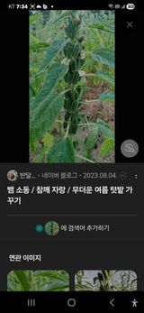 팜모닝 자유주제·자유게시판 게시글 이미지
