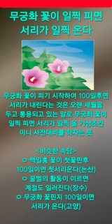 Kns4324님의 자유주제·자유게시판 작성글 사진