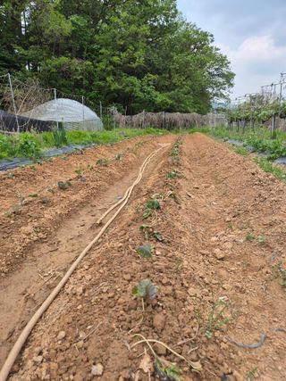 가인 5362님의 자유주제 · 자유게시판 작성글 사진