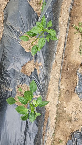 김재정님의 자유주제 · 자유게시판 작성글 사진