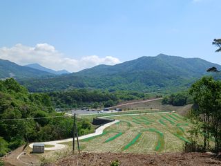 연향님의 자유주제 · 자유게시판 작성글 사진