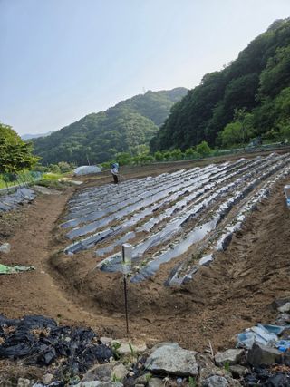knlee님의 자유주제·자유게시판 작성글 사진
