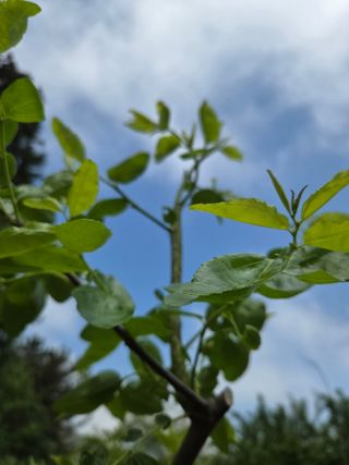 농촌사랑님의 자유주제 · 자유게시판 작성글 사진