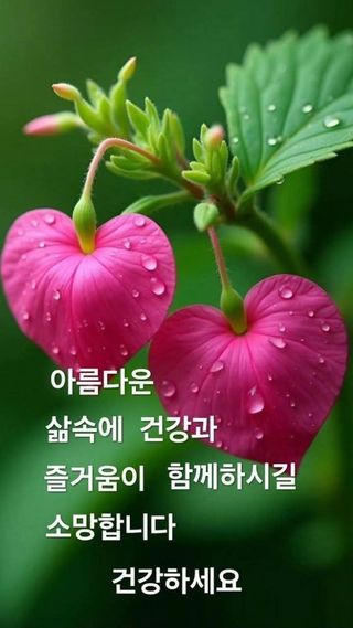 토다리 토종님의 작성글 사진