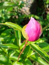 연향님의 자유주제·자유게시판 작성글 사진