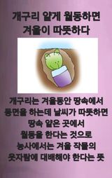 팜모닝 자유주제·자유게시판 게시글 이미지