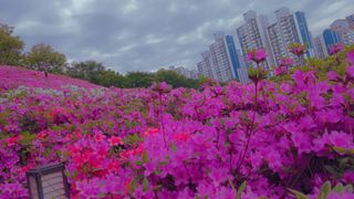 강성흔목사 님의 자유주제 · 자유게시판 작성글 사진