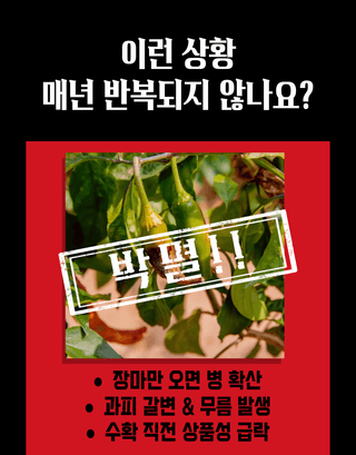 농업마켓365님의 작성글 사진