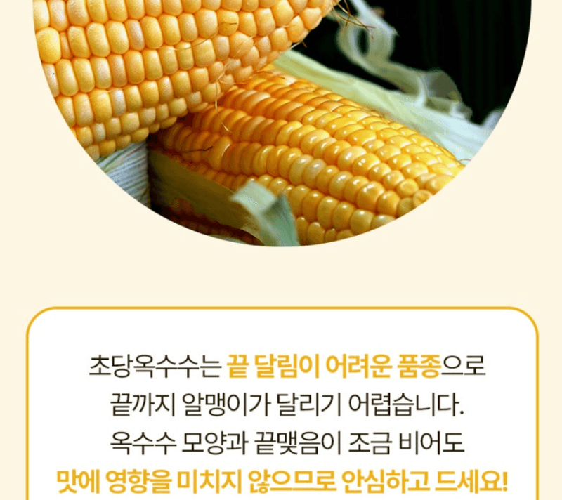 스피드번님의 장터 판매 상품 [2026 초당옥수수 / 애플 초당옥수수 ] 첨부 사진