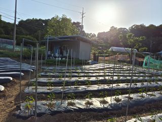 Kns4324님의 자유주제 · 자유게시판 작성글 사진