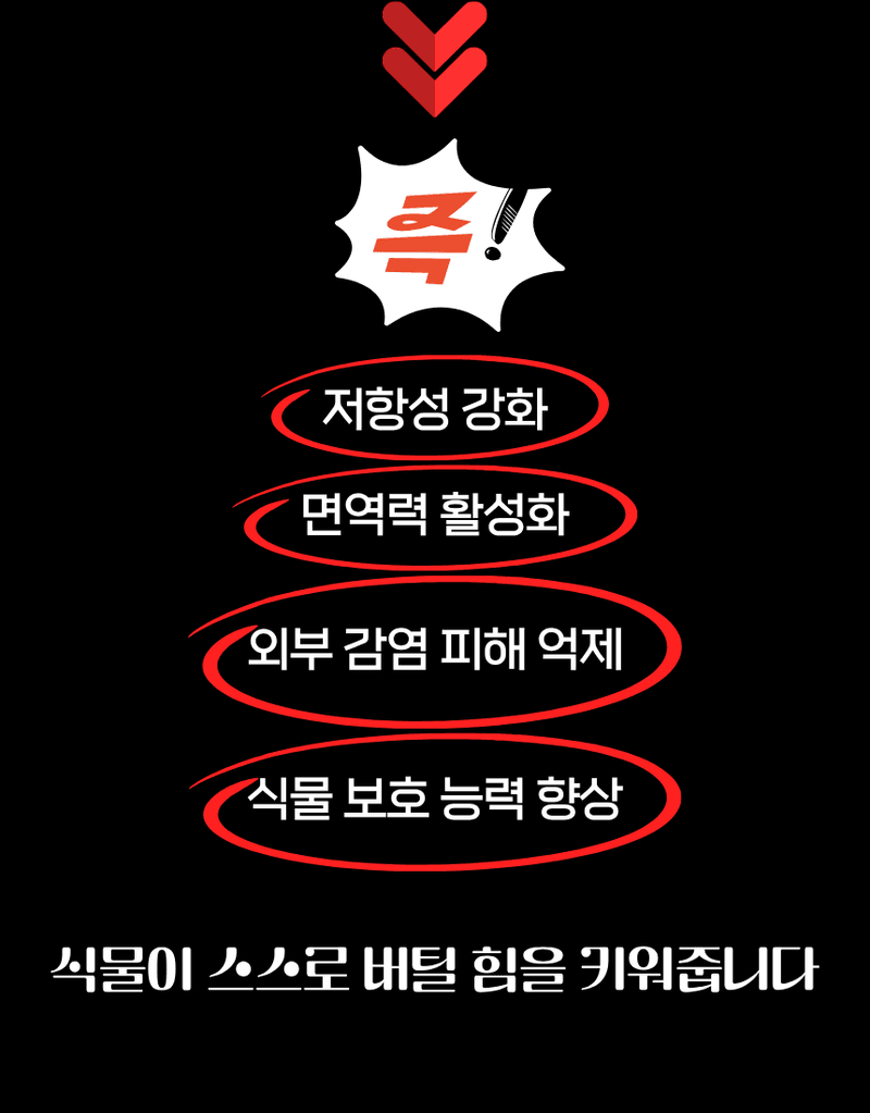 농업마켓365님의 장터 판매 상품 [[탄저병예방] 융전 탄저백신 액제 500ml 탄저병방지 과피보호 면역강화] 첨부 사진