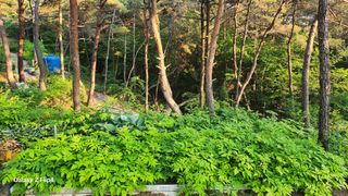 김동식님의 자유주제 · 사진전 작성글 사진