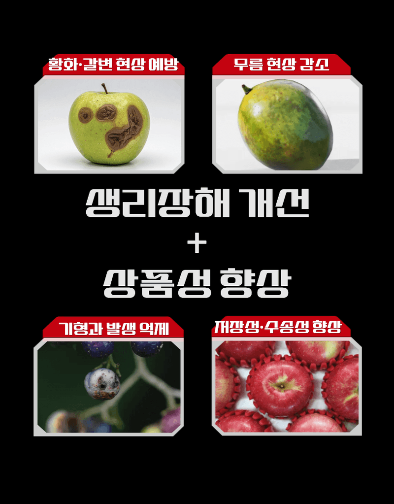 농업마켓365님의 장터 판매 상품 [[탄저병예방] 융전 탄저백신 액제 500ml 탄저병방지 과피보호 면역강화] 첨부 사진