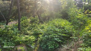 김동식님의 자유주제 · 사진전 작성글 사진