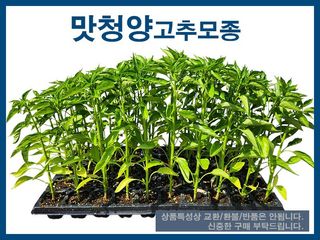 안산제일농약사님의 작성글 사진