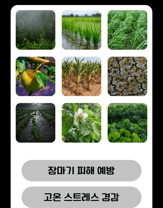 농업마켓365님의 작성글 사진