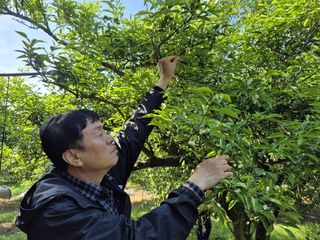 국중선님의 자유주제 · 자유게시판 작성글 사진