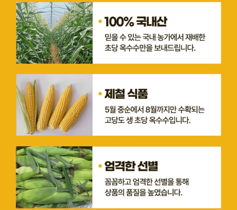 스피드번님의 장터 판매 상품 [2026 초당옥수수 / 애플 초당옥수수 ] 첨부 사진