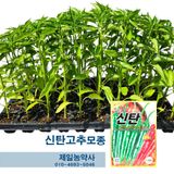 팜모닝 · 게시글 이미지