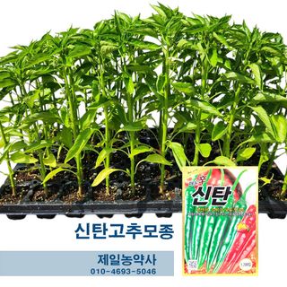 안산제일농약사님의 작성글 사진