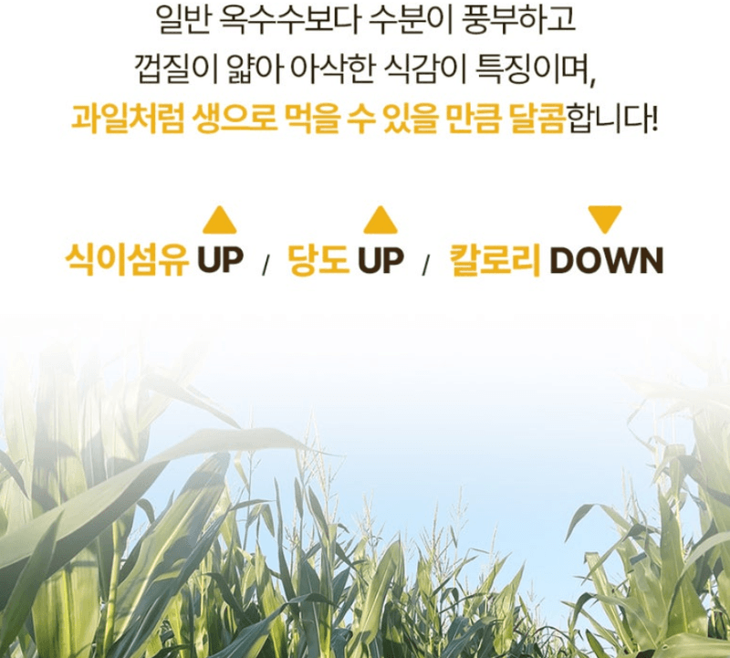 스피드번님의 장터 판매 상품 [2026 초당옥수수 / 애플 초당옥수수 ] 첨부 사진