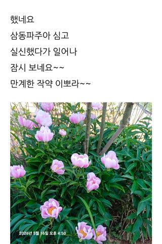 삼성농산님의 자유주제 · 자유게시판 작성글 사진