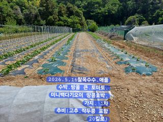 박성민님의 자유주제 · 자유게시판 작성글 사진
