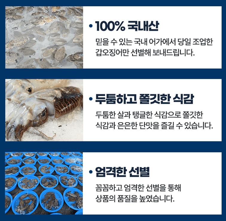 스피드번님의 장터 판매 상품 [국내산 갑오징어 ] 첨부 사진