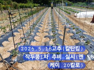 박성민님의 자유주제 · 자유게시판 작성글 사진