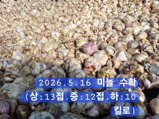 박성민님의 자유주제 · 자유게시판 작성글 사진