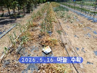 박성민님의 자유주제 · 자유게시판 작성글 사진