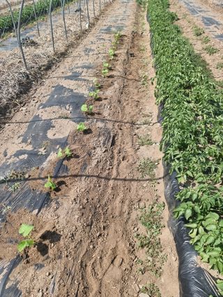 조경준님의 자유주제·자유게시판 작성글 사진